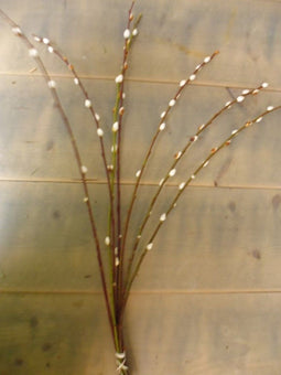 4 stuks Kerstgroen Katjes