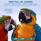Exclusive by TW - Wildcamera - 4K Full HD - Nachtzicht - IP66 Waterdicht - 16 MP - Groen