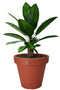 Pro Garden Plantenpot/bloempot Terras Master- dubbelwandig kunststof - terracotta - D60 x H55 cm - Voor buiten