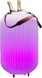 Nikki Amsterdam | The.Lampion | L-65 | Multicolor LED verlichting | Bluetooth Speaker | Wijnkoeler | Champagnekoeler | Ijskoeler | Ice Bucket | Ijsemmer | Tuin Verlichting | Feest Verlichting | Met gratis App bedienbaar | Koppelbaar
