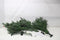 Triumph Tree Sherwood - Kunstkerstboom 155 cm - LED-verlichting - Groen