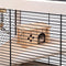 Ferplast Hamsterville - Hamsterkooi - 4 verdiepingen - 60 x 34 x 49 cm