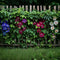 Plant in a Box - Mix van 6 Passiflora - Passievrucht - Klimplant - Pot 9cm - Hoogte 25-40cm