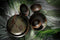 Palmer Schaal Jungle Aurora 13 cm 25 cl Groen Bruin Stoneware 2 stuk(s)