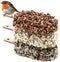 Desserts for Birds - Indian Summer