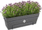 Elho Loft Urban Balkonbak Allin1 50 - Plantenbak met waterreservoir - Antraciet - Ø 49.0 x H 20.5 cm