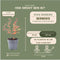 Plants by Frank | 1 strekkende meter rode Berberishaag | 6x Berberis Thunbergii 'Atropurpurea' | Ø12 cm - 20 cm | Bladverliezende haag | Tuinplanten | Planten