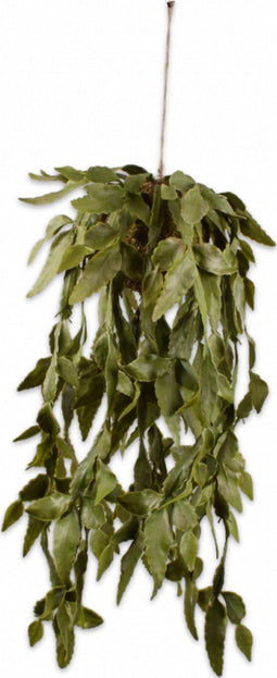 Silk-ka Kunstplant voor Binnen Succulent Hang Groen 63 cm