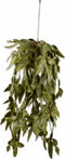 Silk-ka Kunstplant voor Binnen Succulent Hang Groen 63 cm