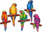 UNIDRAGON Houten Puzzel Voor Volwassenen Dier - Speelse Papegaaien - 291 stukjes - King Size 49x27 cm
