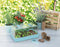 SOGO Kweekkas Inclusief Beluchting 38 x 24 cm
