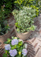 Capi Europe - Bloempot Waste Rib NL - 43x41 cm - Terrazzo grijs - Breukbestendig - 100% recyclebaar
