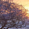 Customize it - Tuinschilderij winter wonderl 70x50
