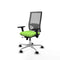 Piqueras y Crespo 3D086N0 - Bureaustoel - Verstelbare hoogte met armleuning - Pistache