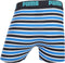 PUMA Boxershort Kinderen PUMA BASIC BOXER PRINTED STRIPE 2P - Blue