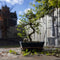 Plant in a Box - Carmona microphylla - Hoogte 20-30cm - Fukien Bonsai S-Shape boom - Pot 20cm