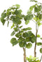 Emerald Kunstboom aralia 135 cm 420292