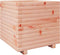 vidaXL - Plantenbak - 50x50x49,5 - cm - massief - douglashout