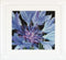Thea Gouverneur - Borduurpakket met telpatroon - 489A - Voorgesorteerde DMC Garens - Korenbloem - Aida - 15 cm x 14 cm - DIY Kit