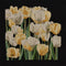 Thea Gouverneur - Borduurpakket met telpatroon - 3065.05 - Voorgesorteerde DMC Garens - Tulpen - Zwart Aida - 24 cm x 24 cm - DIY Kit