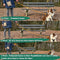 Mister Mill Reflecterende Hondenriem 3 Meter Roze - Honden Riem - Hondenlijn - Honden Lijn