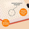 Dingbats A6 Pocket Wildlife Orange Tiger Notebook - Graphed