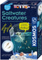 Kosmos Zoutwater Creaties Kweken