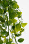 Mica Decorations Ficus - Kunst Hangplant in Pot - H46 x Ø20 cm - Groen