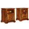 vidaXL - Nachtkastjes - 2 - st - 40x30x50 - massief - sheeshamhout