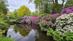Customize it - Tuinschilderij bloemenweelde 70x50