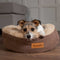 Scruffs Cosy donutmand - Ronde kattenmand met pluche ligvlak - Ø 45 cm - Caramel Brown