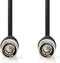 Nedis BNC-Videokabel - BNC Male - BNC Male - Vernikkeld - 75 Ohm - 3.00 m - Zwart