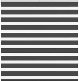 vidaXL - Zebra - rolgordijn - 145x100 - cm - stofbreedte - 140,9 - cm - zwart