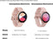 Samsung Galaxy Watch Active - Smartwatch - 39 mm - IP68 - Zwart
