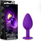Temptasia - Bling Anaal Plug Small - Paars