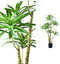PTMD Tree Green Dieffenbachia Kunstplant - 87 x 36 x 122 cm - Plastic pot - Groen