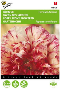 5 stuks - Buzzy - Papaver Flemish Antique Tuinplus