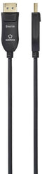 Renkforce RF-6117766 - DisplayPort-kabel - Glasvezel UHD 8K @ 60 Hz - Zwart