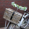 MigoStyling - Kinder - Fietsmand - Met deksel - Bakkersmand - 42x33xH23 - Riet-Rotan
