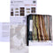 Thea Gouverneur - Borduurpakket met telpatroon - 472.05 - Voorgesorteerde DMC Garens - Parijs - Zwart Aida - 79 cm x 50 cm - DIY Kit