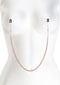 Nipple Clamps DC3