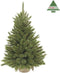 Triumph Tree Forest Frosted - Kunstkerstboom - H90 x Ø62 cm - Groen