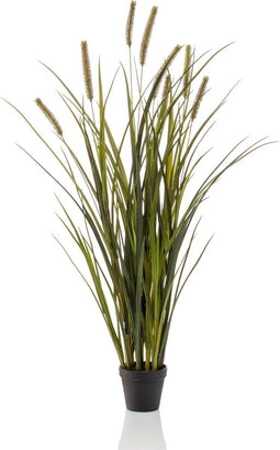 Emerald - Kunstplant Kattenstaart Gras kort 100cm - Kunstplanten voor binnen