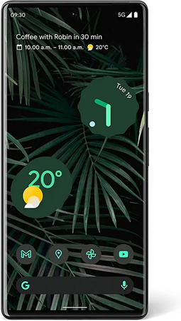 Google Pixel 6 Pro - Smartphone - 12GB RAM - 256GB - Zwart