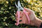 ARS Lichtgewicht Snoeischaar - Gehard Verchroomd Staal - 184 mm - Roze