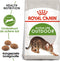 Royal Canin Outdoor - Kattenvoer - 400 g