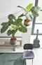 Mica Decorations Taro Kunstplant - H60 x Ø60 cm - Groen