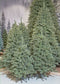 Triumph Tree Forest Frosted Kunstkerstboom - H120 x Ø99 cm - Groen
