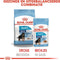 Royal Canin Maxi Natvoer - Puppy-Hondenvoer - 10x140 g