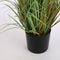 Mica Decorations pluimgras in plastic pot maat in cm: 150 x 45